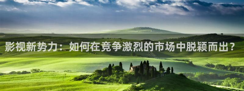 蜜桃精品久久久久久久免费影院